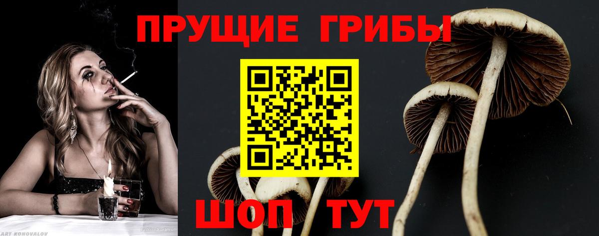 закладки  Вход с VPN  Галлюциногенные грибы ЛСД  Канаш  Галлюциногенные грибы мицелий 